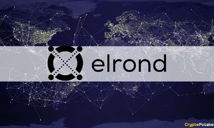 Skynet EGLD Capital Fund Raises $40 Million to Invest within the Elrond Ecosystem